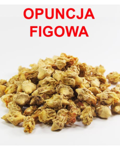 OPUNCJA FIGOWA KWIAT 1 KG